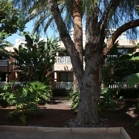 Parque De Las Americas Apartamento Costa Adeje  Exterior foto