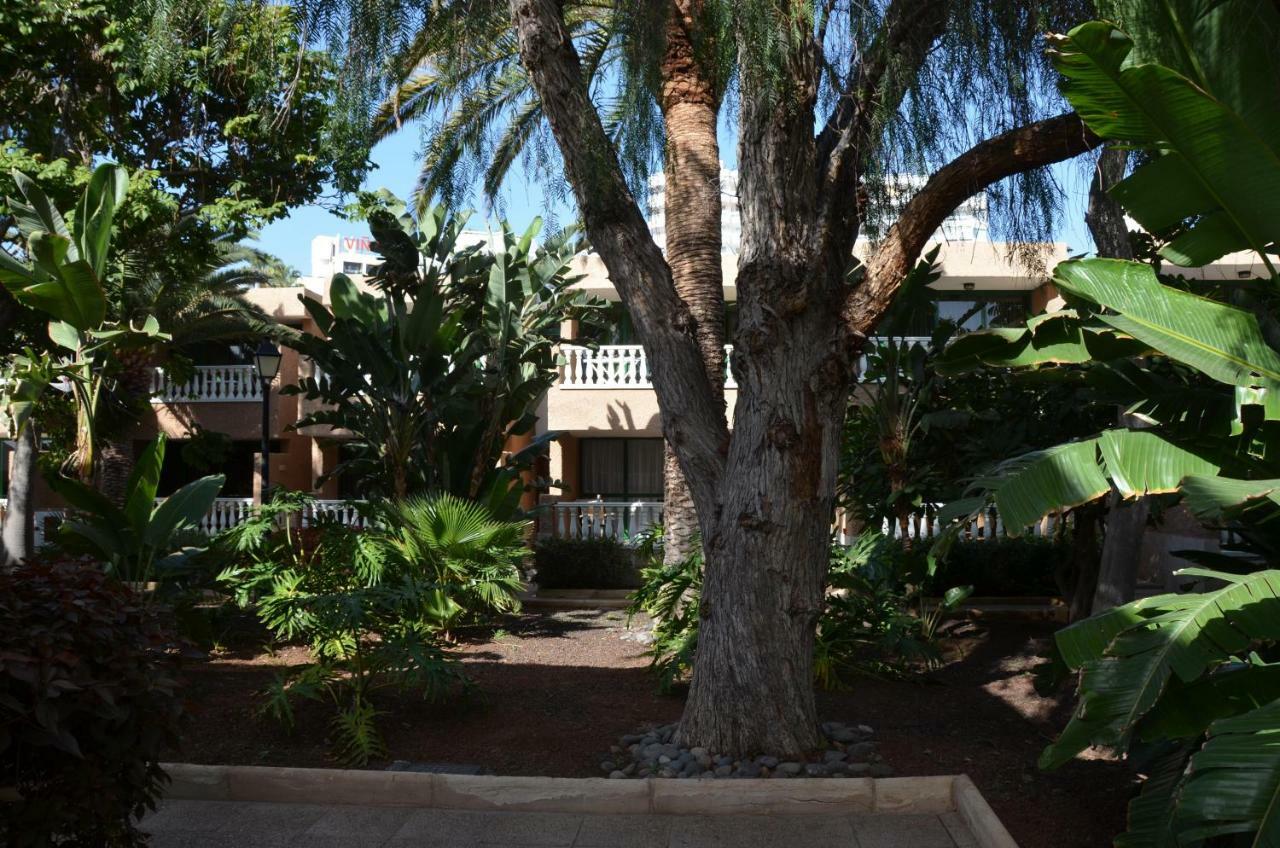 Parque De Las Americas Apartamento Costa Adeje  Exterior foto